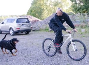 Kartlegging