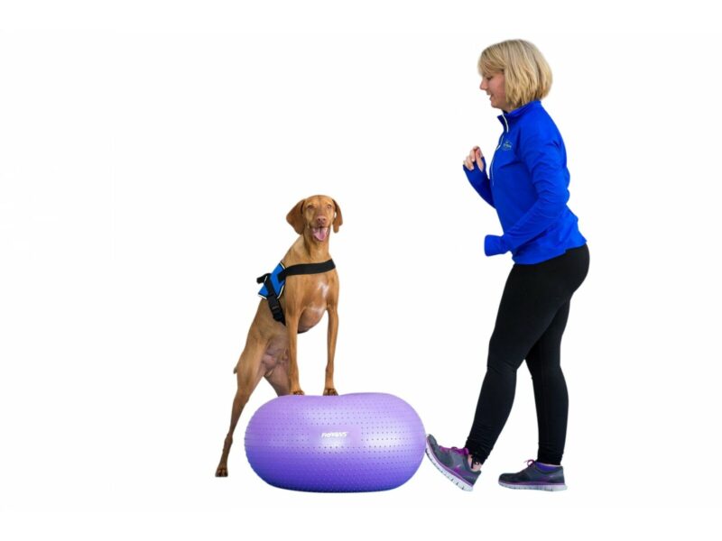 FitPaws® TRAX™ Donut