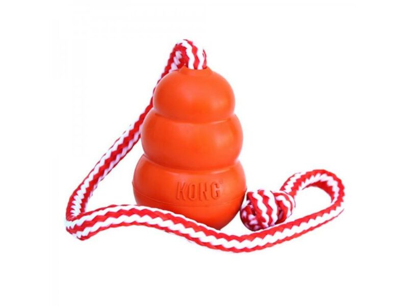 Kong aqua M/L