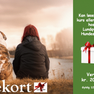 Gavekort