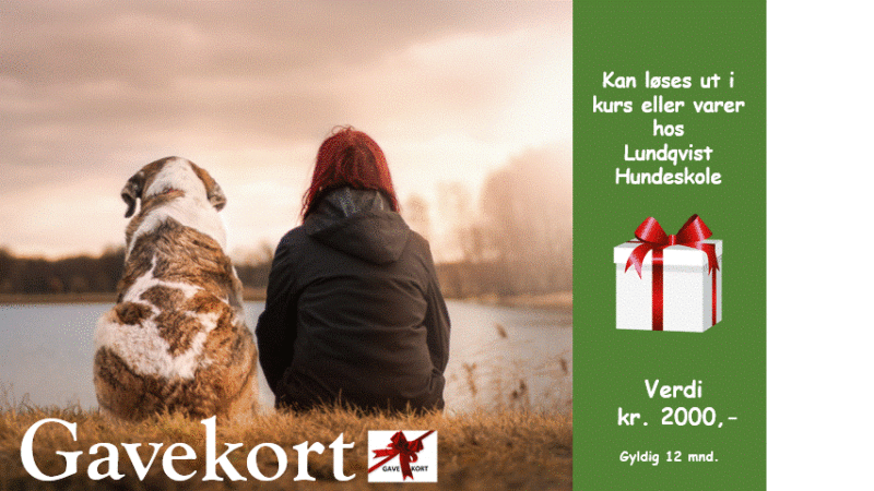 Gavekort