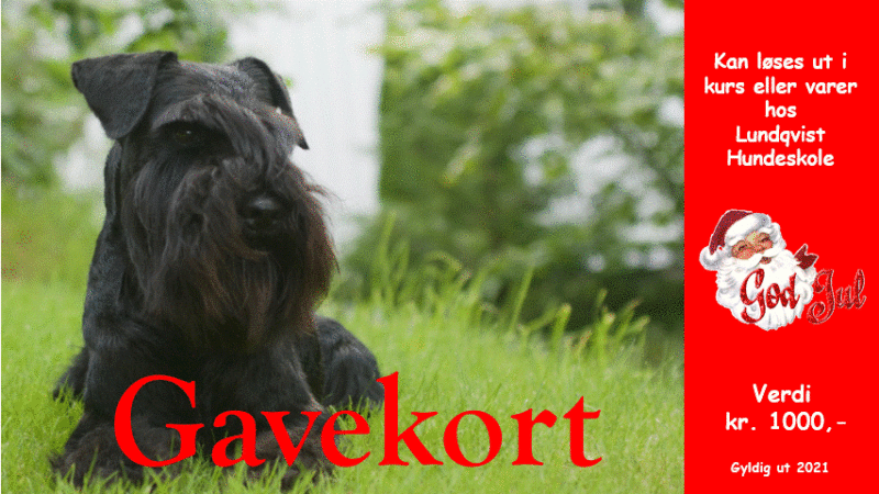 Gavekort - Bilde 2