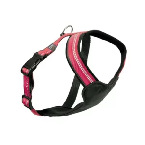 Kennel dog harness