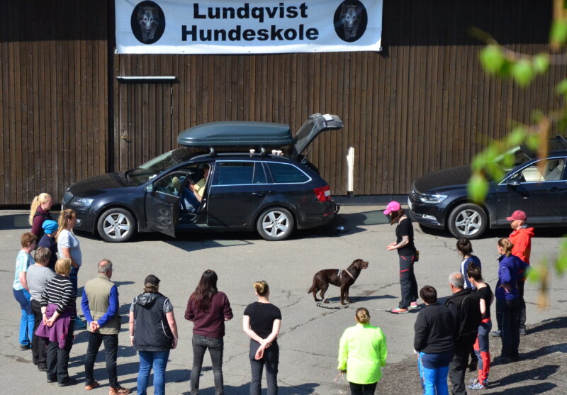 Grunnkurs med Lundqvist Intro online