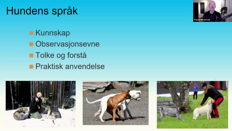 Hundens språk og adferd - Opptak av webinar